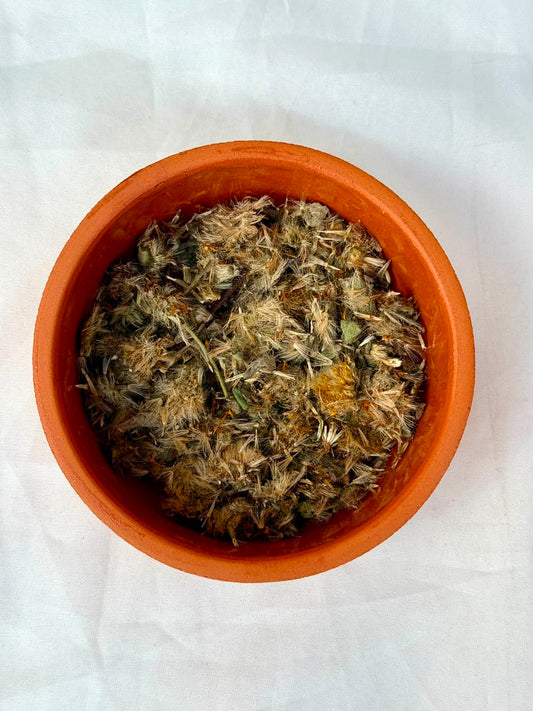 Arnica
